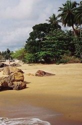 Камерун это Африка в миниатюре ВИЗА В Камерун